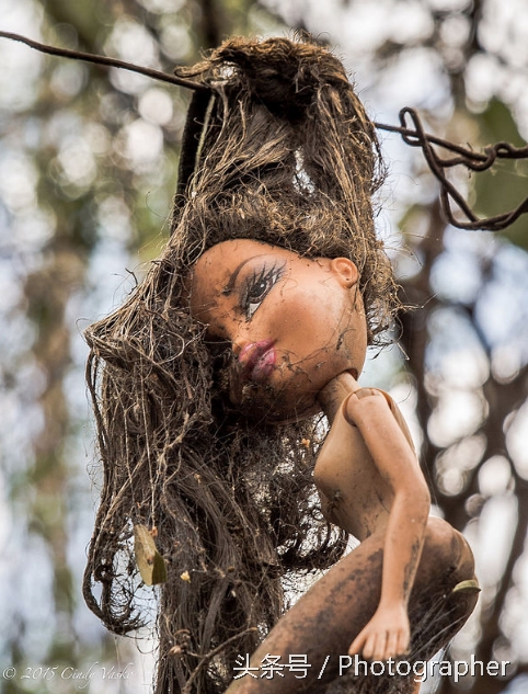 墨西哥有个阴森恐怖的娃娃岛(5)