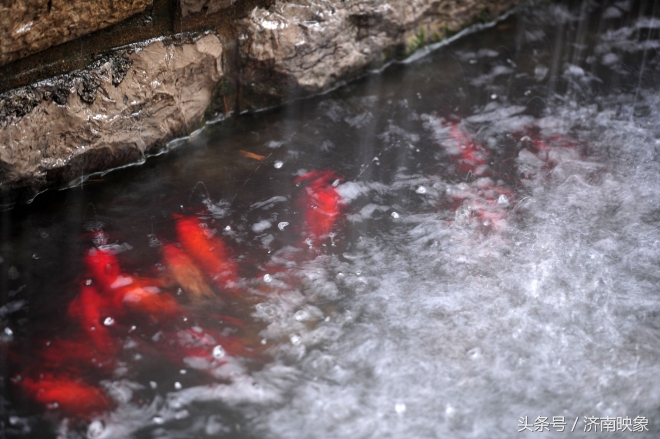 济南的五龙潭水底下到底藏了什么？(4)