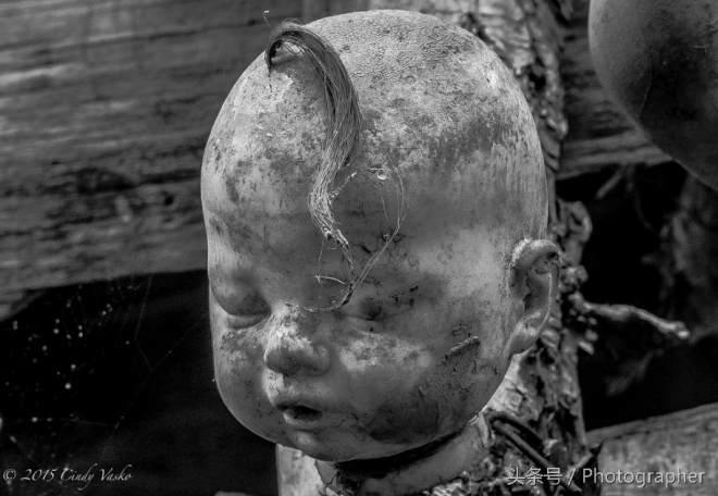 墨西哥有个阴森恐怖的娃娃岛(4)