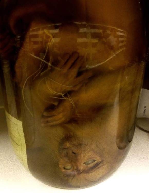 男子搬进了新家后，地下室的场景吓得他腿软了！(3)