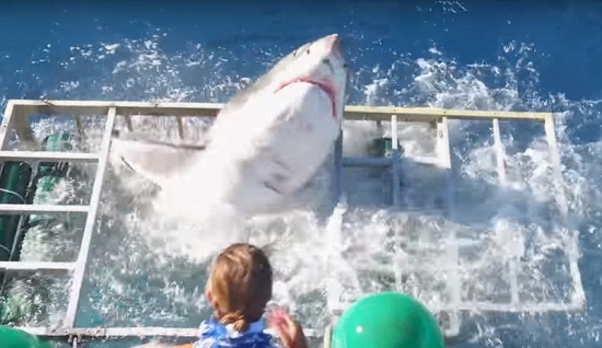 深海“梦魇”！实拍恐怖海洋生物(3)
