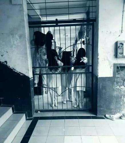 万圣节的校园，被这群女鬼吓住了！(2)