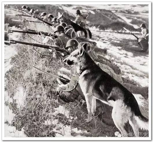 二战时罪恶的日本陆军罕见老照片(4)