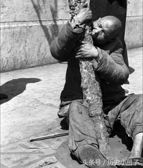 心痛：美国记者镜头下真实的河南饥民吃树皮老照片(1)