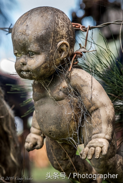 墨西哥有个阴森恐怖的娃娃岛(2)