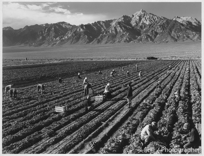 珍珠港事件后，被关进集中营的日本人(4)