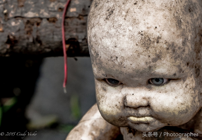 墨西哥有个阴森恐怖的娃娃岛(1)