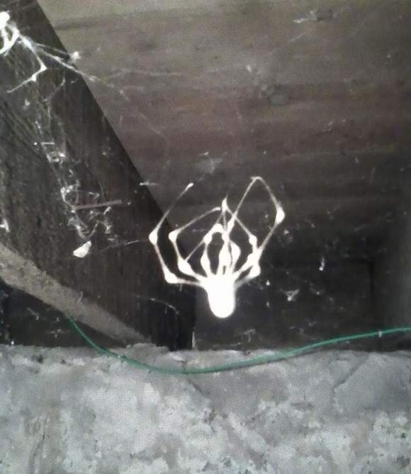 男子搬进了新家后，地下室的场景吓得他腿软了！(1)