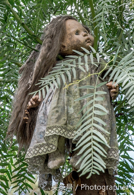 墨西哥有个阴森恐怖的娃娃岛(6)