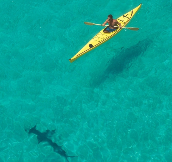 深海“梦魇”！实拍恐怖海洋生物(2)