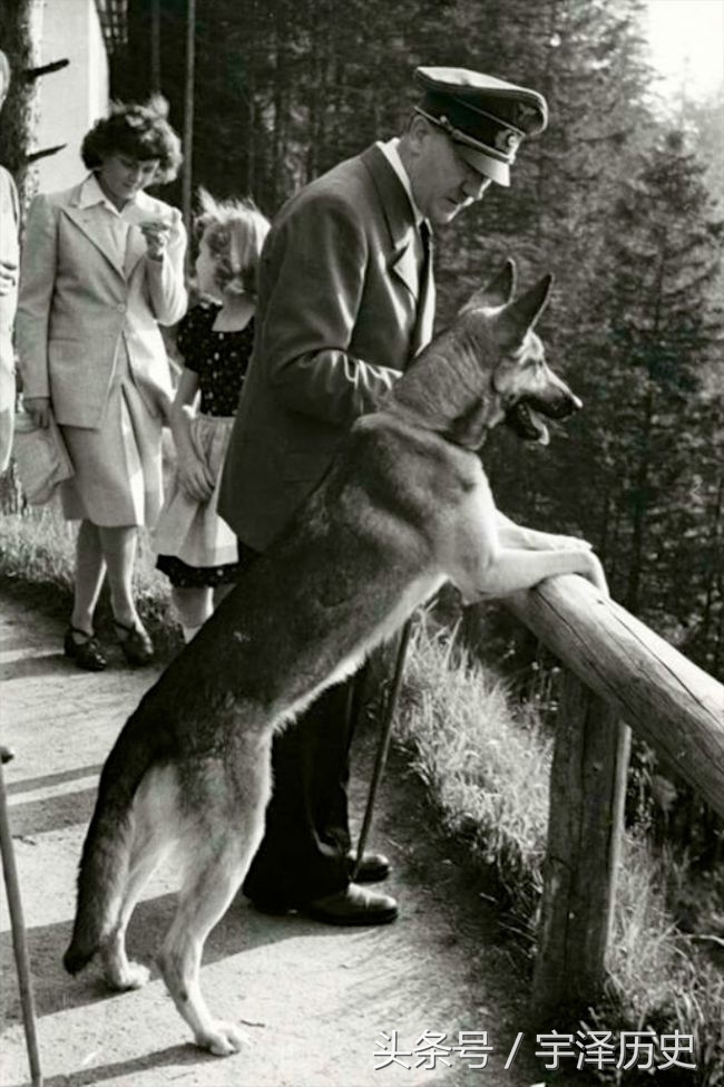 旧影回眸：希特勒与他的爱犬——布隆迪(3)