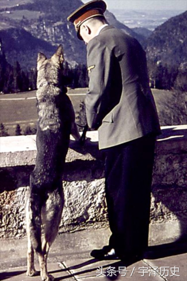旧影回眸：希特勒与他的爱犬——布隆迪(2)