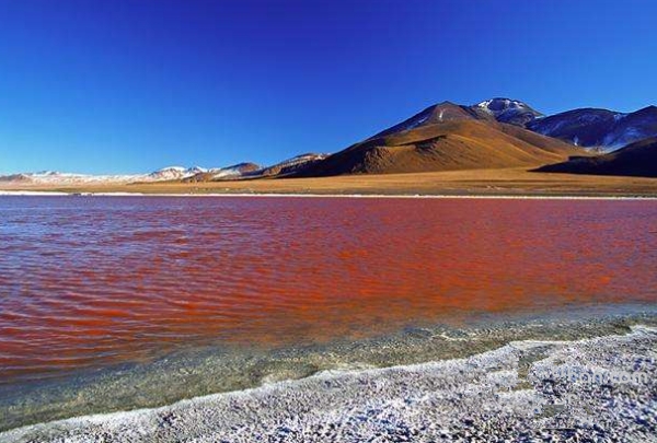 隐藏在世界各地的怪异景致，保证你一个也没有见过(2)