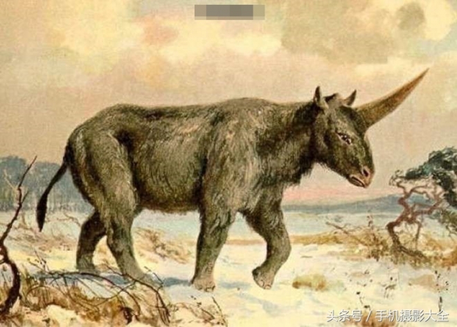 考古学家证明独角兽的确存在，为什么和想象中不一样(1)
