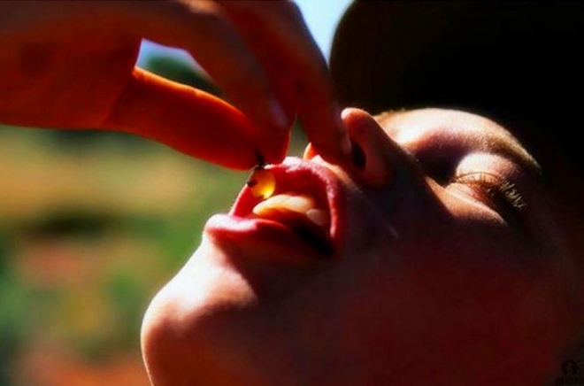 世界上‘最好吃’的‘蚂蚁’(3)