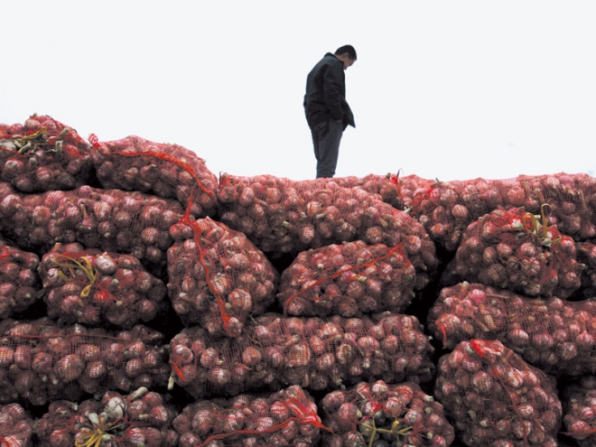 入冬大蒜价格飚升，农民却愁容满面，表示很无奈！(1)