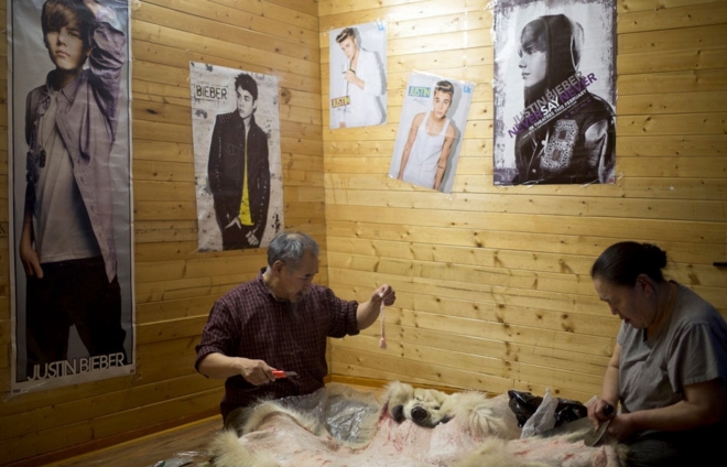 饮鸩止渴：实拍北极圈里的“合法”猎熊人(2)