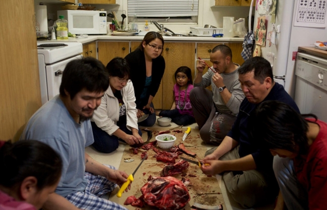 饮鸩止渴：实拍北极圈里的“合法”猎熊人(2)