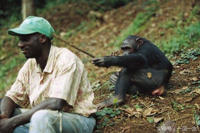 动物让人啼笑皆非的瞬间(1)