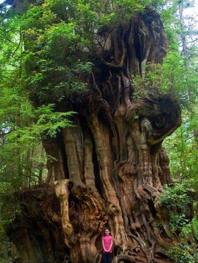 这些大自然的“橘根”，人类比得了吗？(3)