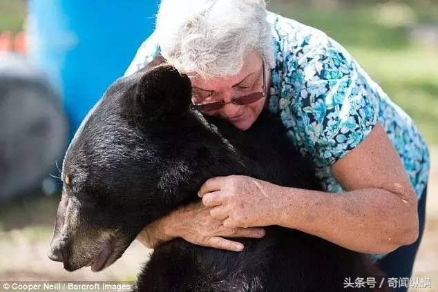 62岁老太太饲养大棕熊和老虎当宠物，堪称世上最牛老太太(3)