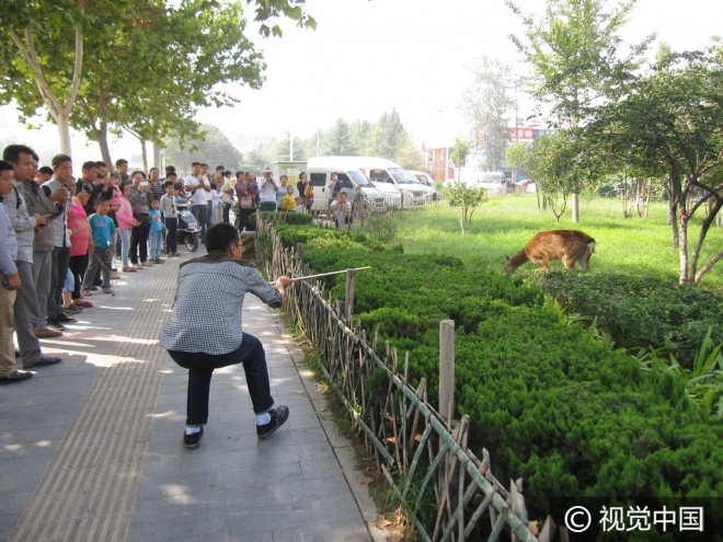 “世界那么大我想去看看” 盘点出逃动物各不相同的“诗和远方”(5)