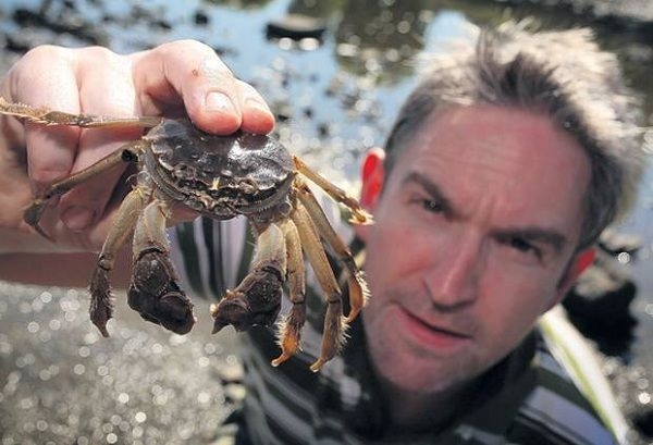 盘点国外泛滥成灾的几种动物，中国吃货直呼我们才是食物链的顶端(1)