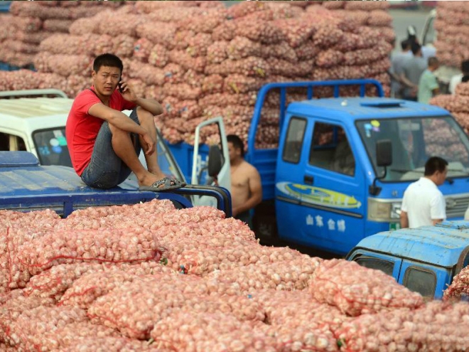 入冬大蒜价格飚升，农民却愁容满面，表示很无奈！(4)