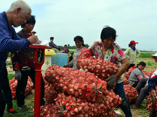 入冬大蒜价格飚升，农民却愁容满面，表示很无奈！(3)