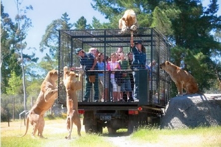 为让游客更“尽兴” 国外一家动物园是这么做的(1)