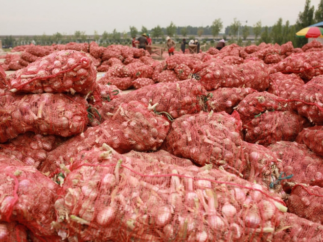 入冬大蒜价格飚升，农民却愁容满面，表示很无奈！(4)