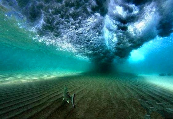 世界上最惊心动魄的14张图 可能你一辈子也见不到(1)