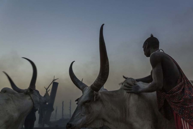 这个持枪保护牛群的部落，每年有两千人为此付出生命(4)