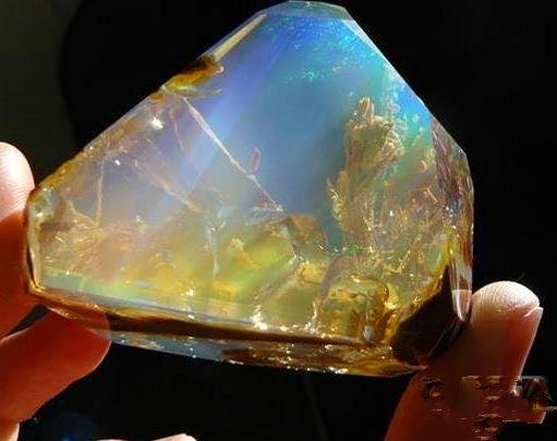 世界上最惊心动魄的14张图 可能你一辈子也见不到(3)