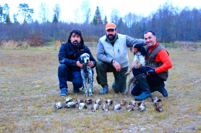 盘点国外泛滥成灾的几种动物，中国吃货直呼我们才是食物链的顶端(1)