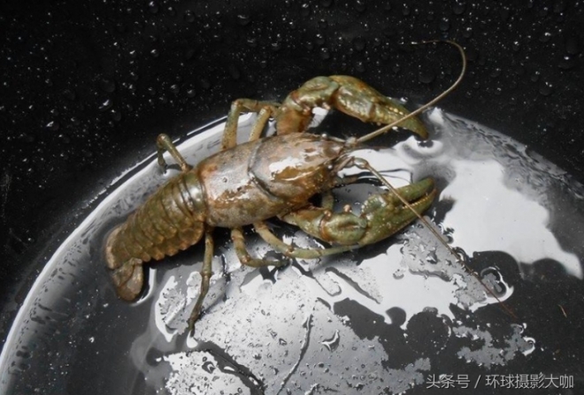 不要相信你的眼睛，你看到的都是真的(2)