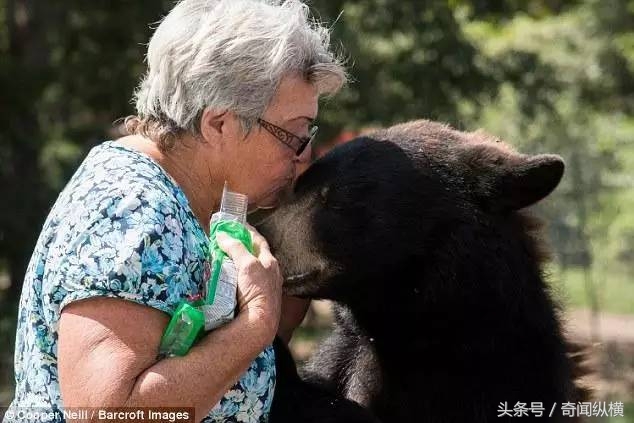 62岁老太太饲养大棕熊和老虎当宠物，堪称世上最牛老太太(3)