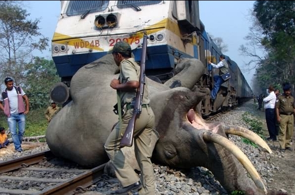 让人瞠目结舌的印度火车，除了印度人还有谁敢坐上去！(2)