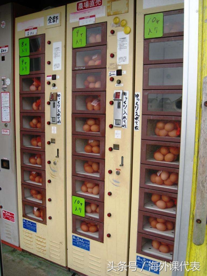 外国自售机怎么啥都卖，你们是咋把活鱼饵装进机器的？(7)