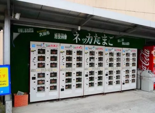 实拍：中国人身居日本华人街的生活俗态(2)