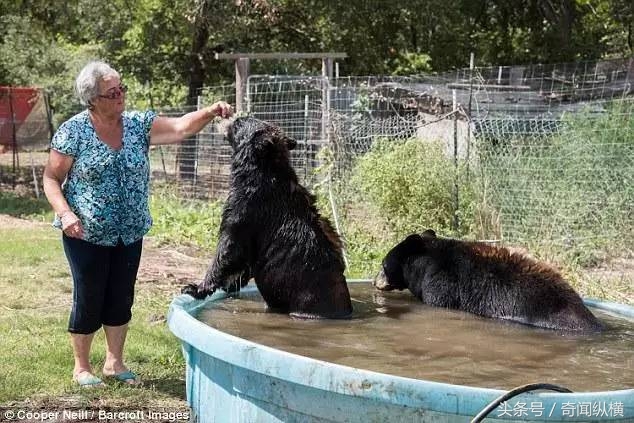 62岁老太太饲养大棕熊和老虎当宠物，堪称世上最牛老太太(1)