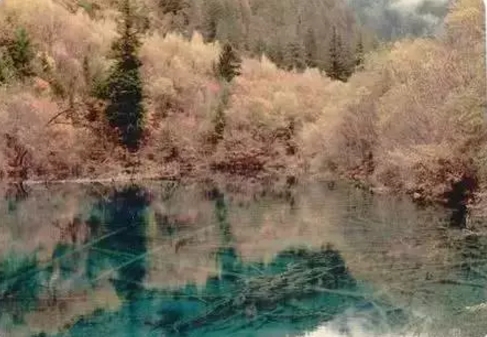 九寨沟30年前的样子(1)