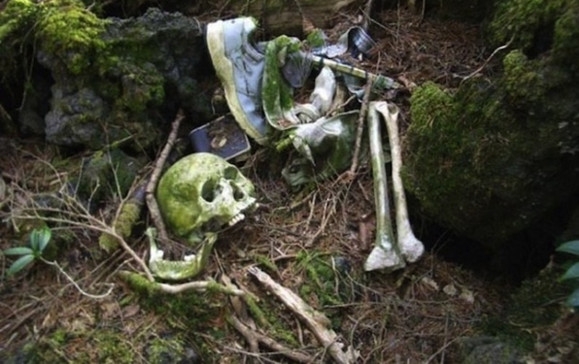 日本的幽静森林内发现大量尸体，被称为“自杀森林”(2)