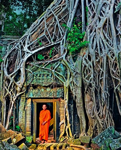 这些大自然的“橘根”，人类比得了吗？(2)