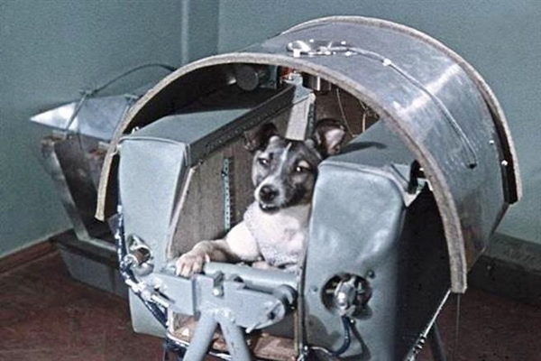 时隔45年，俄罗斯科学家才揭露第一只太空狗的悲惨死亡真相(2)