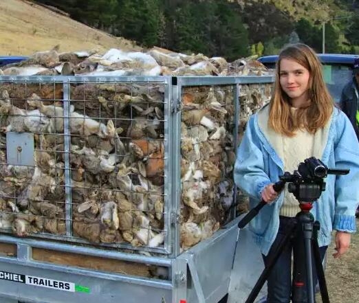盘点国外泛滥成灾的几种动物，中国吃货直呼我们才是食物链的顶端(2)