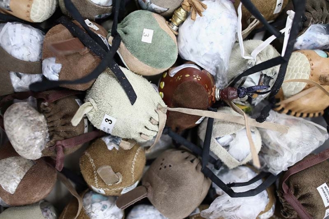 全世界最昂贵的宠物，它是石油土豪们炫富的工具(3)