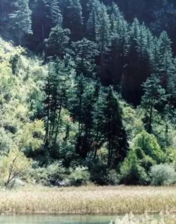 九寨沟30年前的样子(3)