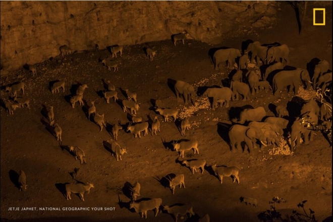 国家地理杂志征集气候变化所产生影响的照片，每张照片都震撼人心(6)