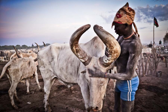 这个持枪保护牛群的部落，每年有两千人为此付出生命(1)